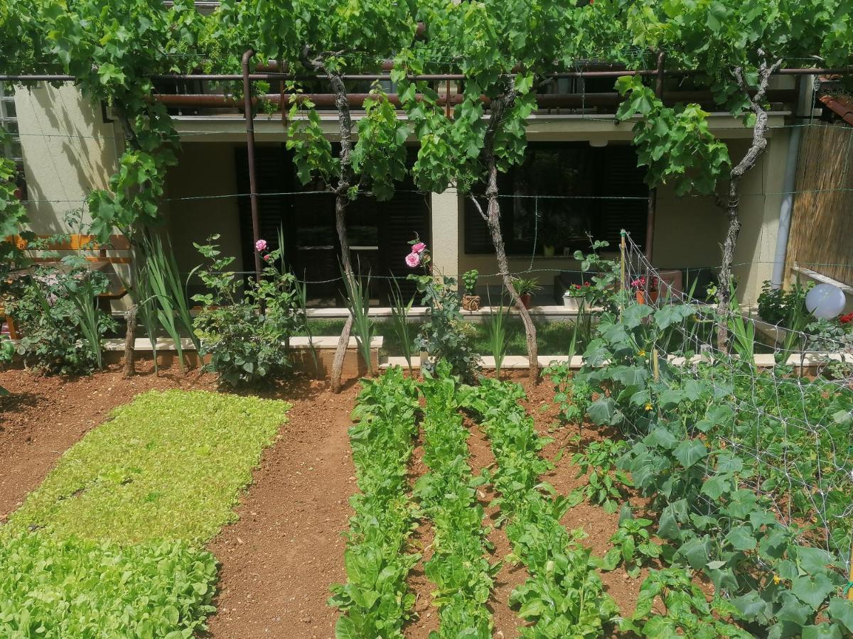 Apartment Oliva Пула Екстериор снимка